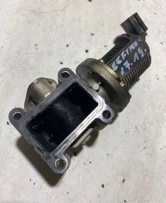 Opel Zafira B EGR valve 50024005