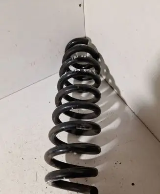 Rear coil spring