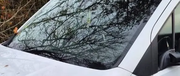 Citroen Berlingo Front windscreen/windshield window BER4CZ1