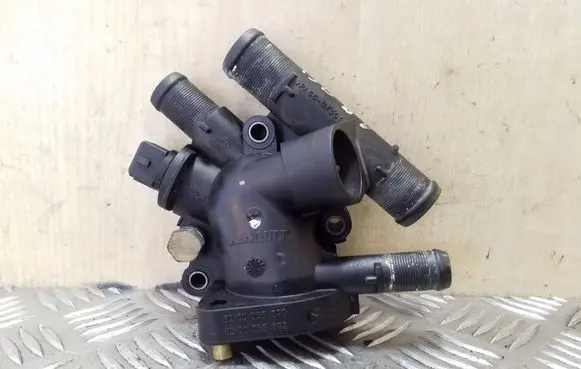 Thermostat/thermostat housing