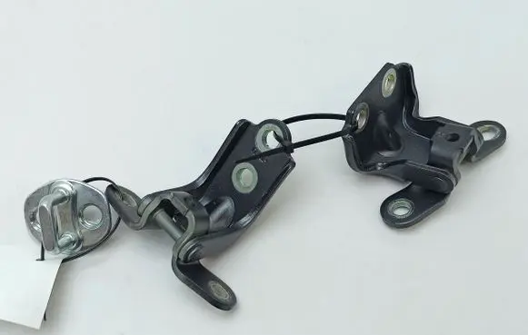 Hyundai Ioniq 5 Rear door hinge set 