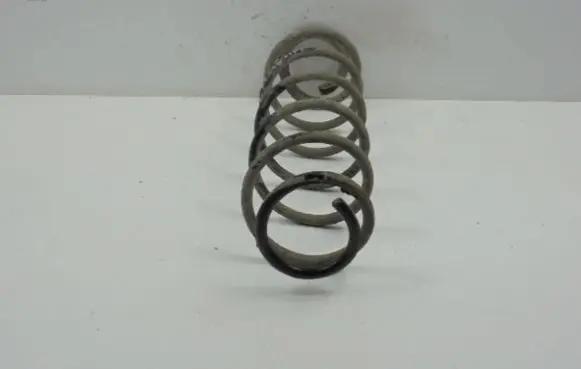 Renault Laguna II Rear coil spring