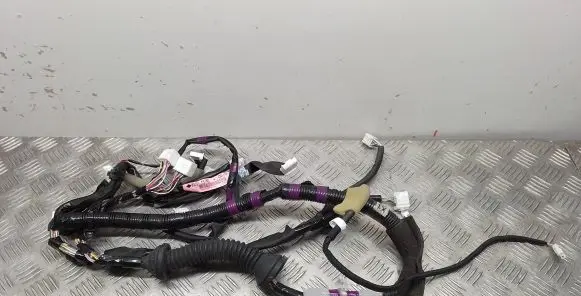 Lexus RX 450H Front door wiring loom 8215148760