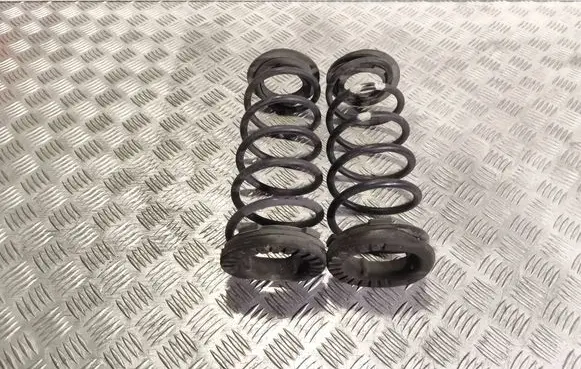 Hyundai i20 (PB PBT) Rear coil spring 