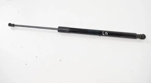 Tailgate/trunk strut/damper
