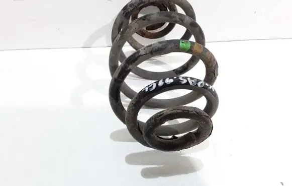 Rear coil spring