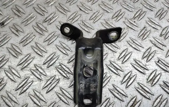 Chevrolet Cruze Rear door lower hinge A046057