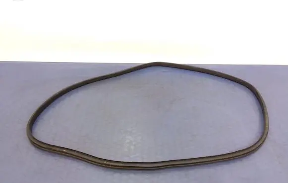 Renault Scenic IV - Grand scenic IV Front door rubber seal 