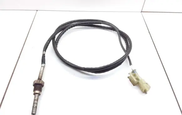 Exhaust gas temperature sensor