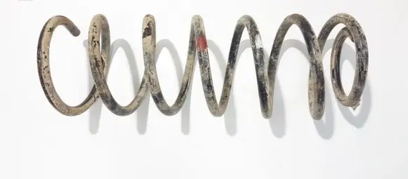 Chevrolet Kalos Rear coil spring