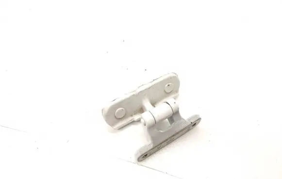 Tesla Model S Tailgate/trunk/boot hinge