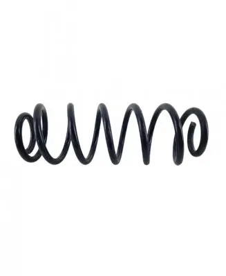 Volkswagen Jetta V Rear coil spring
