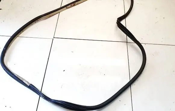Citroen C4 I Picasso Rubber seal front coupe door