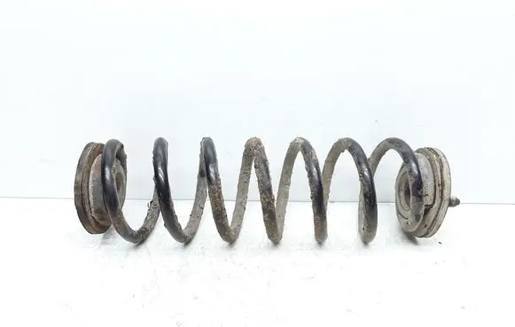 Volkswagen PASSAT B6 Rear coil spring