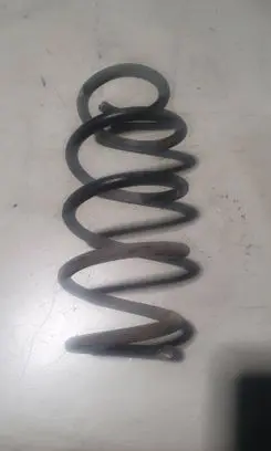 Rear coil spring
