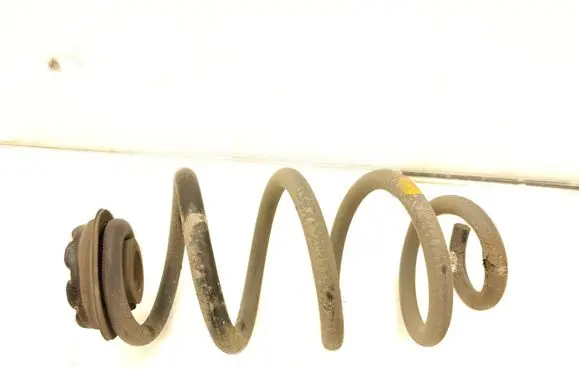 Rear coil spring