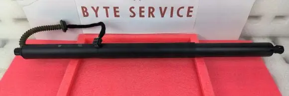 Tailgate strut