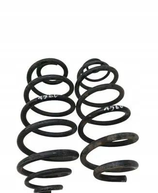 Rear coil spring