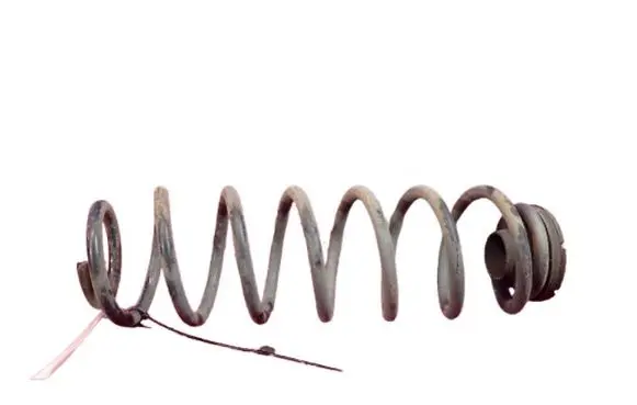 Rear coil spring