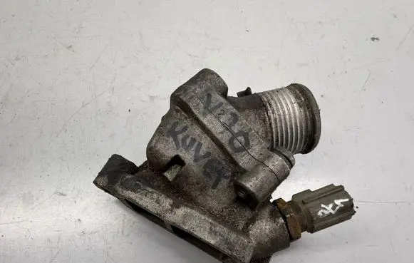 Thermostat/thermostat housing