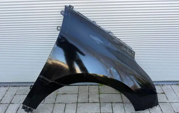 Renault Scenic IV - Grand scenic IV Fender 631003924R