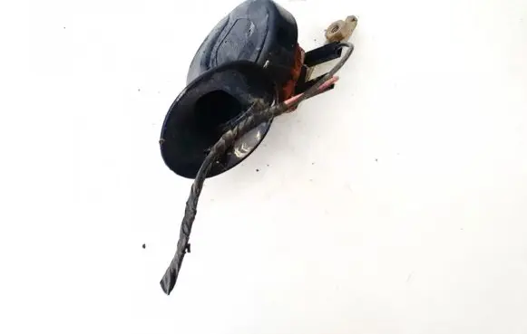 Horn signal