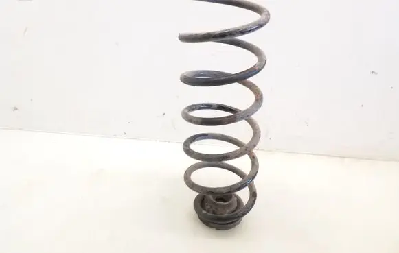 Volkswagen New Beetle Rear coil spring