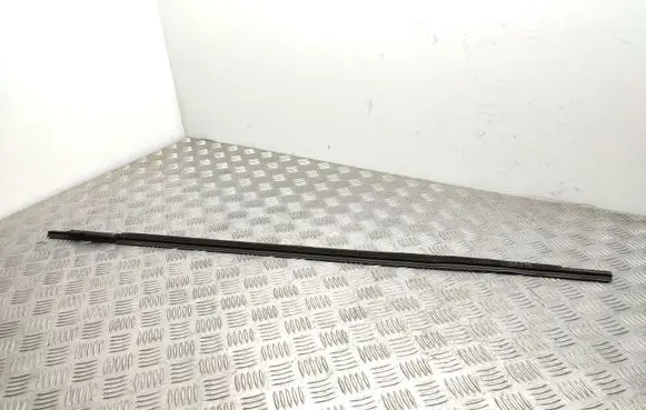 Seat Exeo (3R) Front door glass trim molding