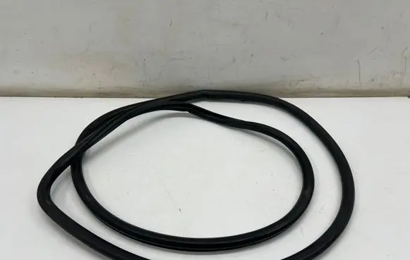 Lexus ES 300h (7th Gen) Front door rubber seal 