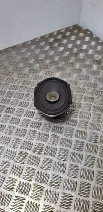Rear door speaker