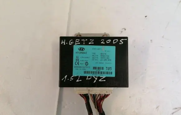 Hyundai Getz Other control units/modules 954001c301