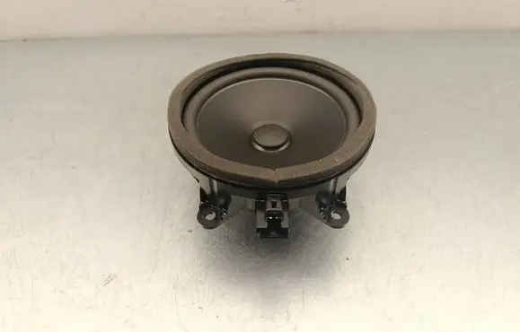 Polestar 2 Rear door speaker 31489043