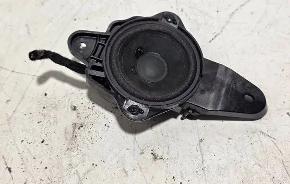 Front door speaker