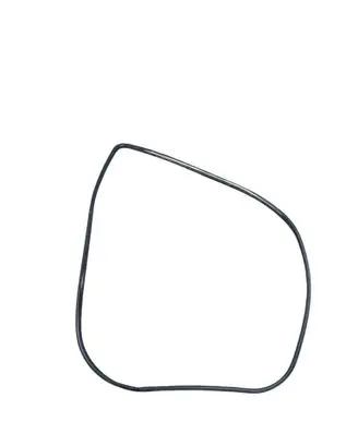 Toyota Sequoia (XK60) Front door rubber seal 623110C050