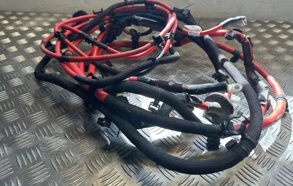 Porsche Panamera (971) Positive cable (battery) 972971311 04052016 AEM069