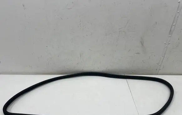 Mini Clubman F54 Front door rubber seal 7344159