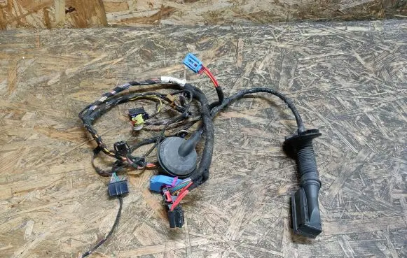 Audi A4 S4 B7 8E 8H Rear door wiring loom 4L0971841
