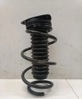 Nissan Qashqai J12 Front coil spring 540346UA0A
