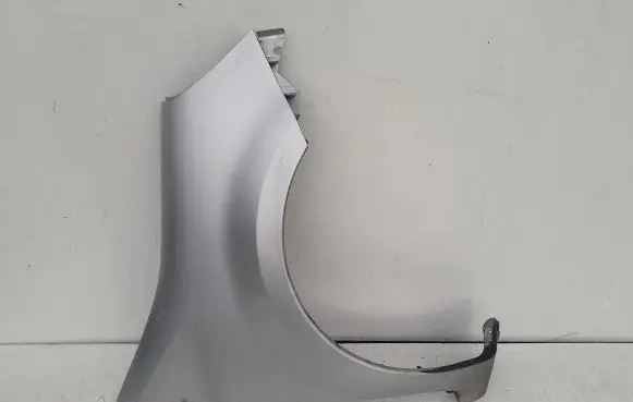 Renault Modus Fender