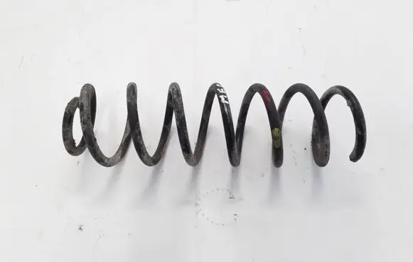 Renault Megane III Rear coil spring 550200026R