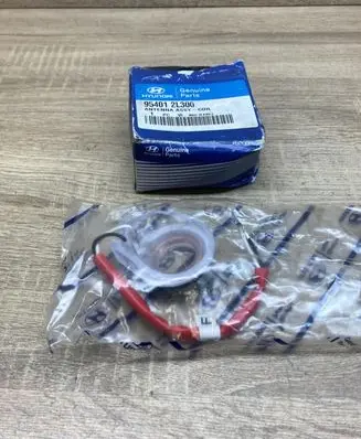Hyundai Elantra Aerial antenna filter 954012L300