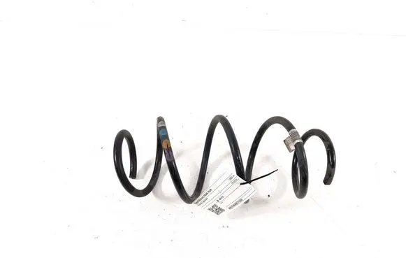Front coil spring