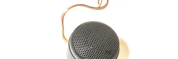 Renault Laguna I Panel speaker 