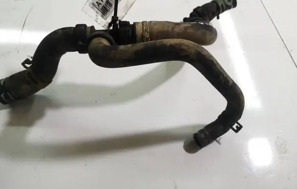 Renault Scenic III - Grand scenic III Engine coolant pipe/hose 