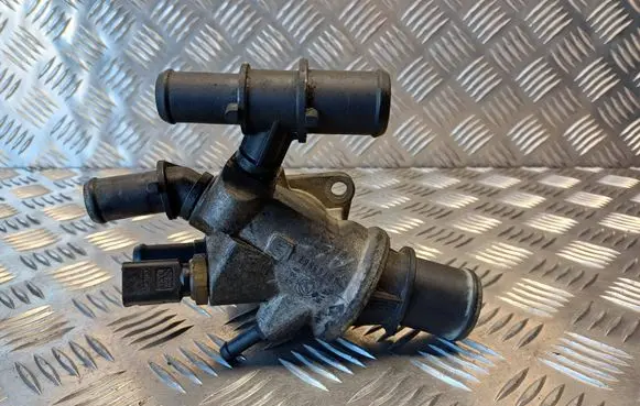 Thermostat/thermostat housing