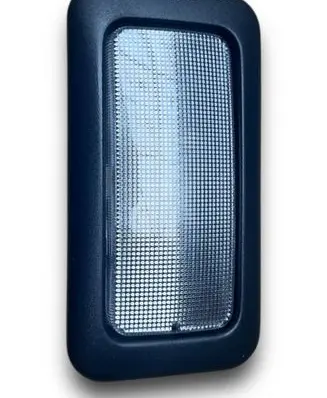 Fiat Punto (176) Number plate light A55 7354259840