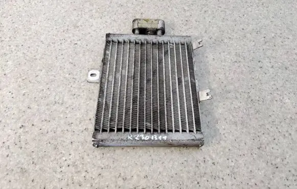 Mercedes-Benz SL R230 Engine oil radiator A2155000000
