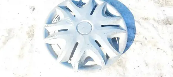 Volkswagen Fox R16 wheel hub/cap/trim 