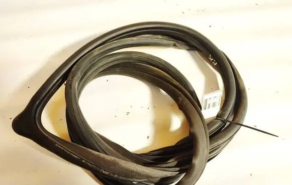 Honda Civic Rubber seal front coupe door 