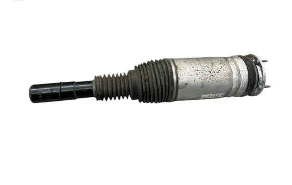 Land Rover Range Rover Sport L494 Front air suspension shock absorber 3820038370 28022019 DPLA3C285CJ